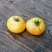 Summertime Gold Dwarf Tomato Project