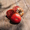 BrandyFred Dwarf Tomato Project