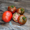 Maura's Cardinal Dwarf Tomato Project
