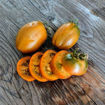 Tiger Eye Dwarf Tomato Project