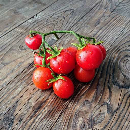 Balkonnoye Chudo Micro Dwarf Tomato