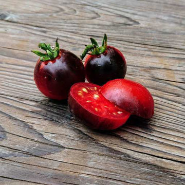 Tartufo Micro Dwarf Tomato Tartufo Micro Dwarf Tomato