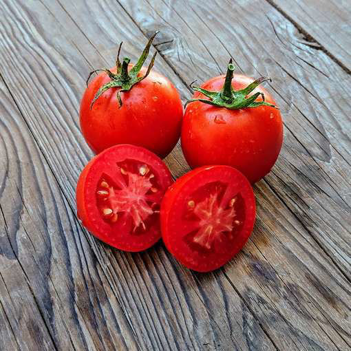 Amulet Bush Tomato