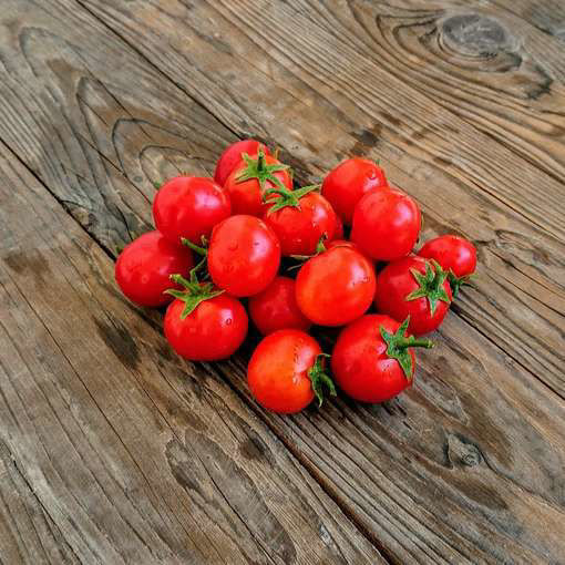 Lapochka Bush Tomato-Meraki Seeds