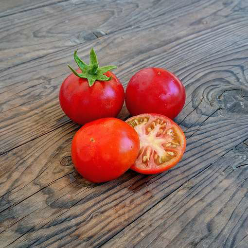 Lav Busk Bush Tomato
