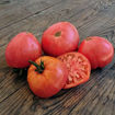 Big Valentine Dwarf Tomato