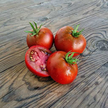 Deatons Dwarf Tomato Deatons Dwarf Tomato
