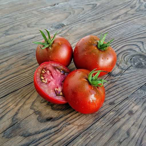 Deatons Dwarf Tomato