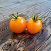 Eagle Smiley Dwarf Tomato