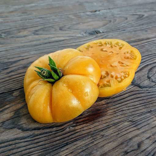 Oriole Dwarf Tomato