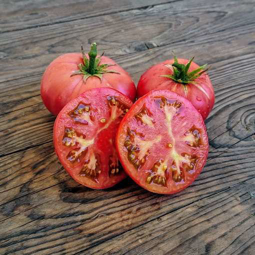 Pink Livija Dwarf Tomato