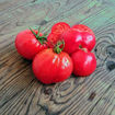 Sonrojo Monster Dwarf Tomato