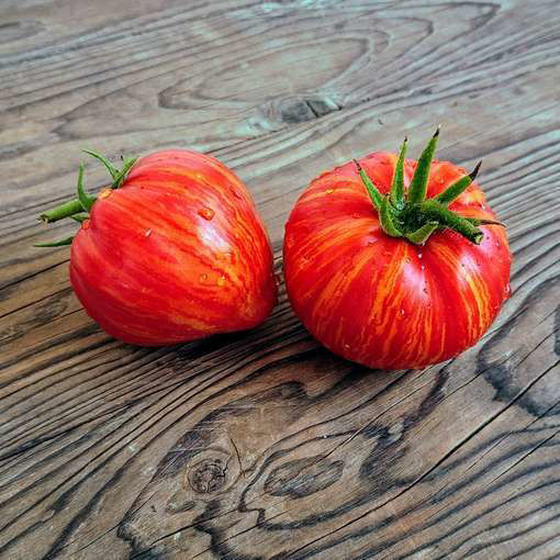 Stony Brook Heart Dwarf Tomato