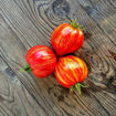 Stony Brook Heart Dwarf Tomato