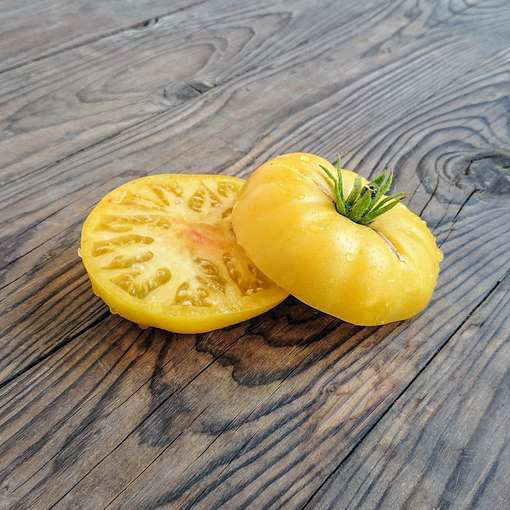 Summer Sweet Gold Dwarf Tomato