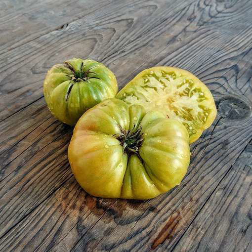 Summertime Green Dwarf Tomato