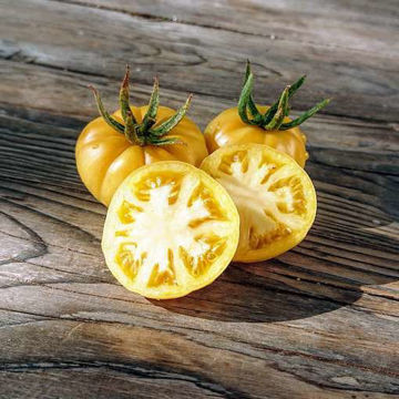 Walters Fancy Dwarf Tomato Walters Fancy Dwarf Tomato