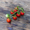 Picture of Ciliegia Cherry Tomato