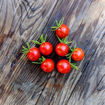 Picture of Ciliegia Cherry Tomato