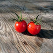 Mei Wei Cherry Tomato