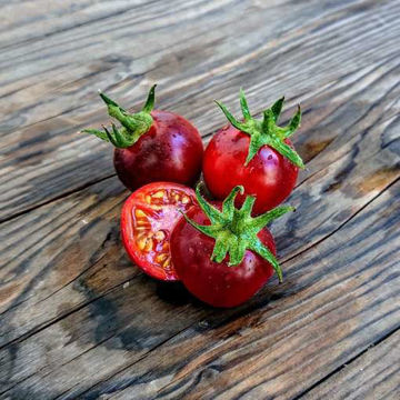 Blue Pitts Cherry Tomato Blue Pitts Cherry Tomato