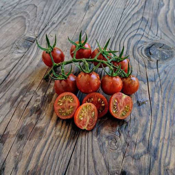 Copper Currant Cherry Tomato Copper Currant Cherry Tomato