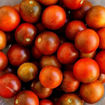 Copper Currant Cherry Tomato