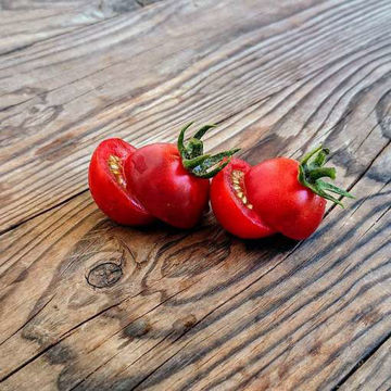 Indigo Cherry Drops Cherry Tomato Indigo Cherry Drops Cherry Tomato