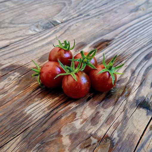 Rons Copy Carbon Cherry Tomato