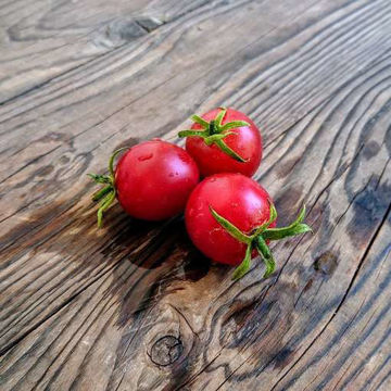 Sweet as Linda Cherry Tomato Sweet as Linda Cherry Tomato