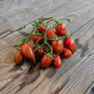 Tamarindo Multicolor Cherry Tomato