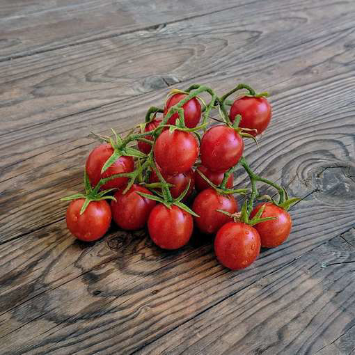 Tel Aviv Train Cherry Tomato