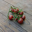 Tondo Nero Cherry Tomato