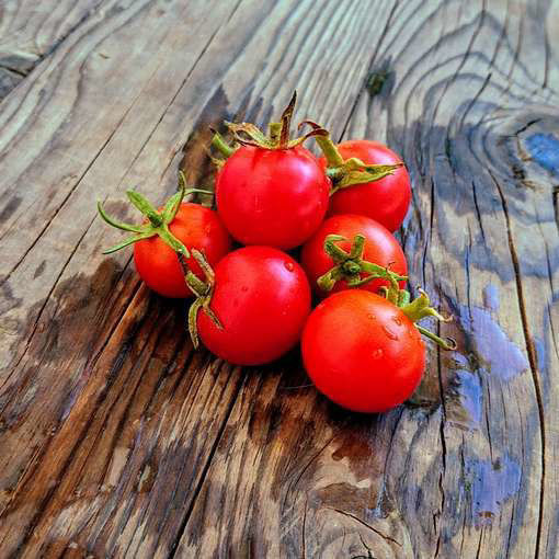 Zuckertraube Cherry Tomato
