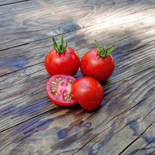 Mexikanische Honigtomaten Cherry Tomato