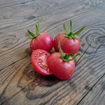 Pink Pingpong Cherry Tomato