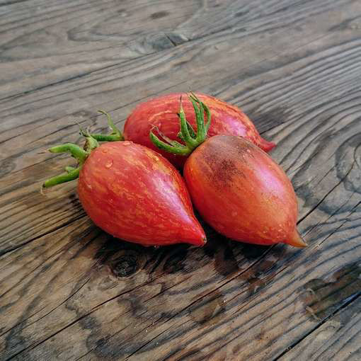 Streak Lightning Cherry Tomato