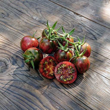 Vernissage Black Cherry Tomato Vernissage Black Cherry Tomato