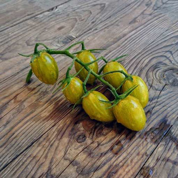 Artisan Green Tiger Cherry Tomato Artisan Green Tiger Cherry Tomato