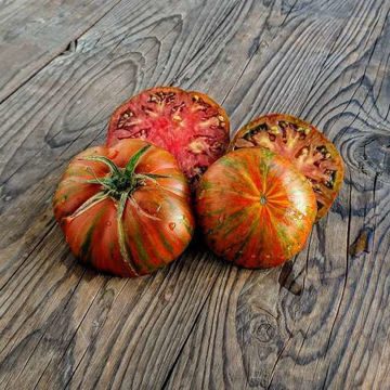 Amur Tiger Tomato Amur Tiger Tomato