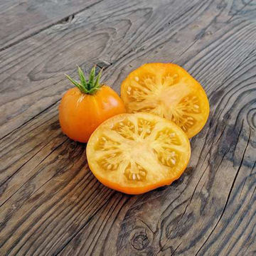 Dirty Little Chicken Tomato Dirty Little Chicken Tomato