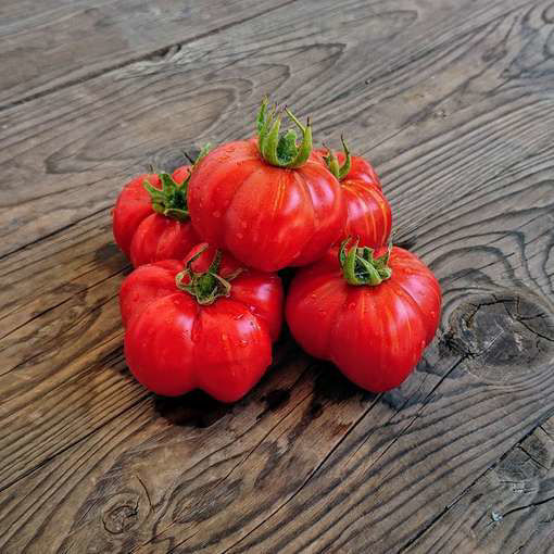 Gogoshary Polosaty Tomato