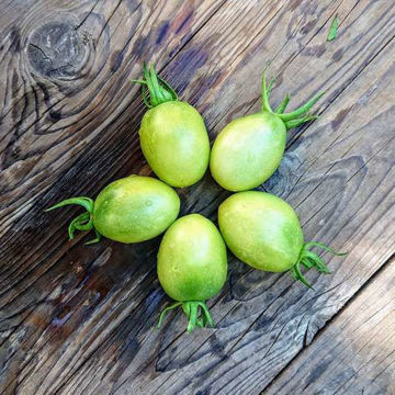 Emerald Pear Tomato Emerald Pear Tomato