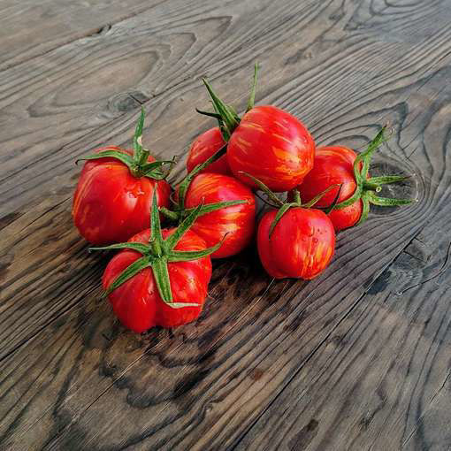 Striped Cavern TomatoMeraki Seeds