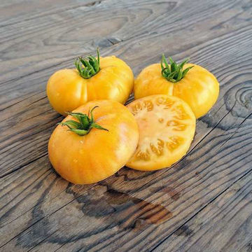 Tiger Paw Tomato Tiger Paw Tomato