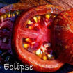 Cosmic Eclipse Tomato