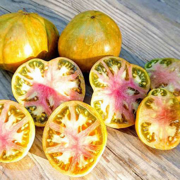 Show details for Mystery Tomato Picture of Mystery Tomato