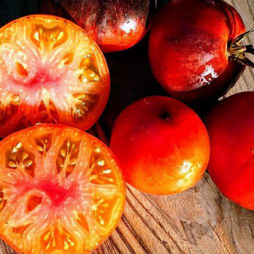 Show details for P20 x Beauty King Tomato Picture of P20 x Beauty King Tomato