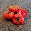 Gregori's Altai Beefsteak Tomato