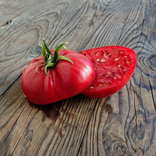 Gary'O Sena Beefsteak Tomato